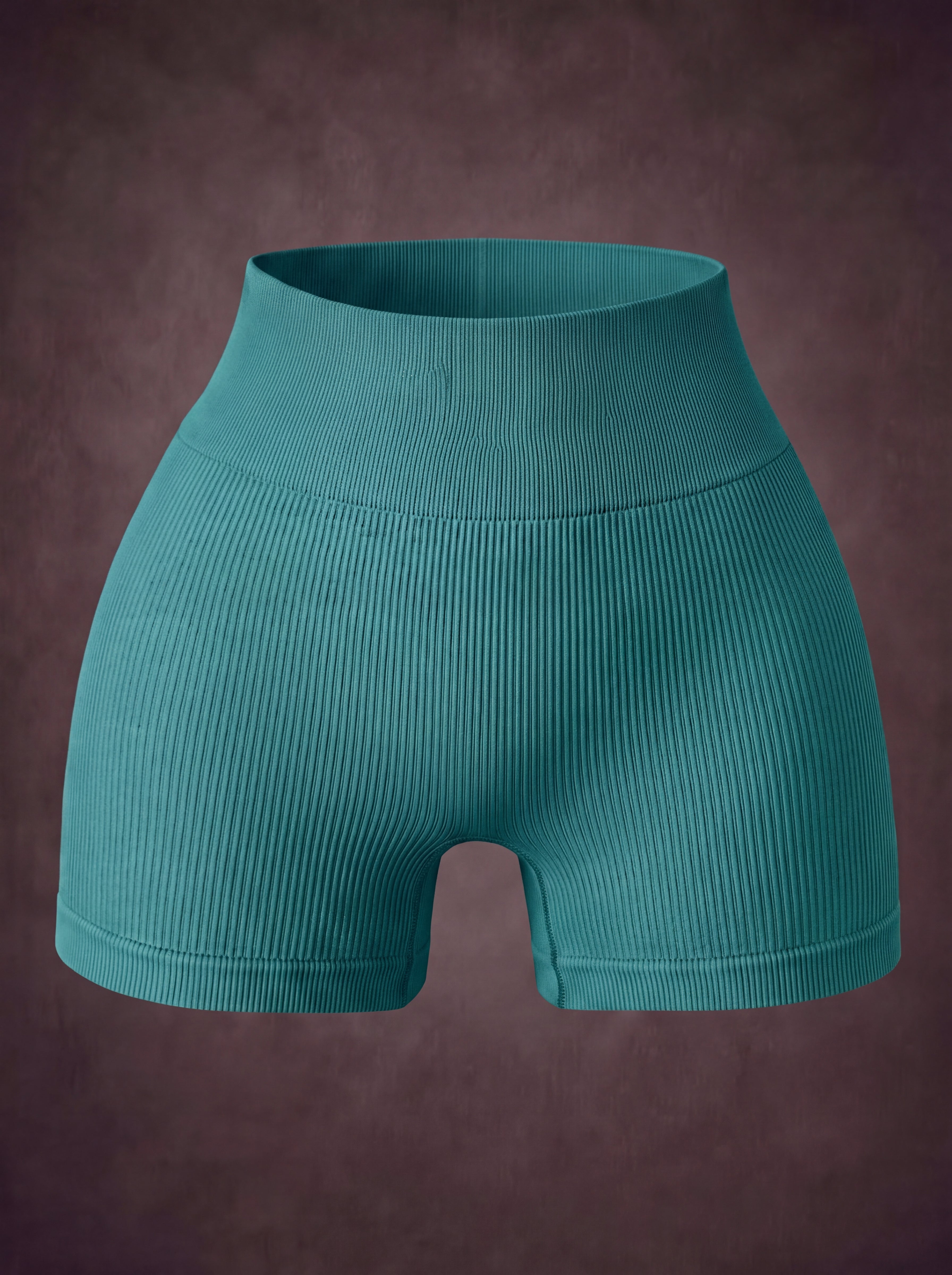 SEAMLESS RIBBED TUMMY CONTROL YOGA WORKOUT SHORTS | Waluoo
