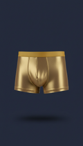 Boxer Brief in Urban Gold